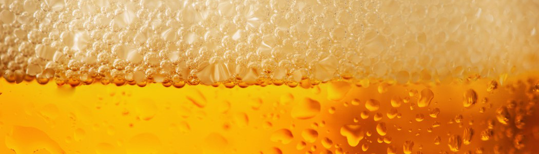 Effects Of Alcohol On Nutrition Essays
