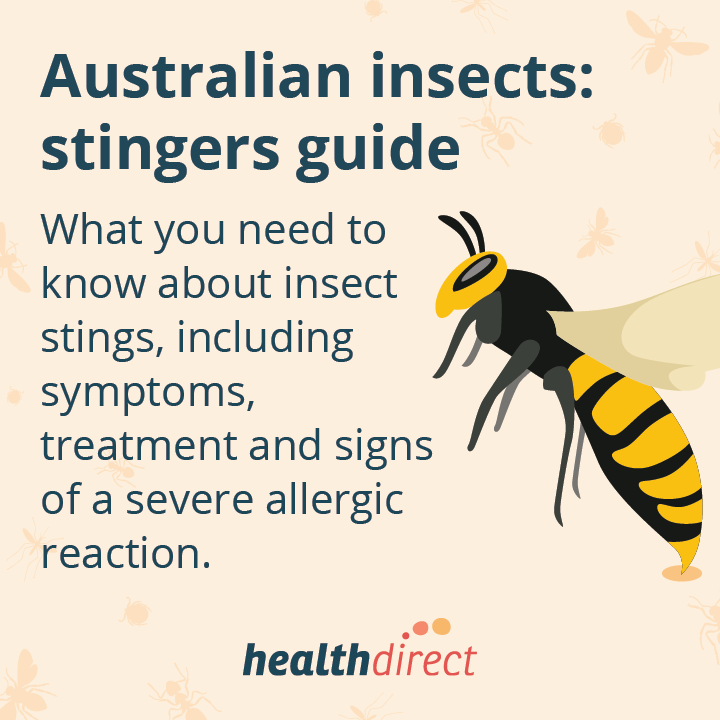 Stingers infographic tile image