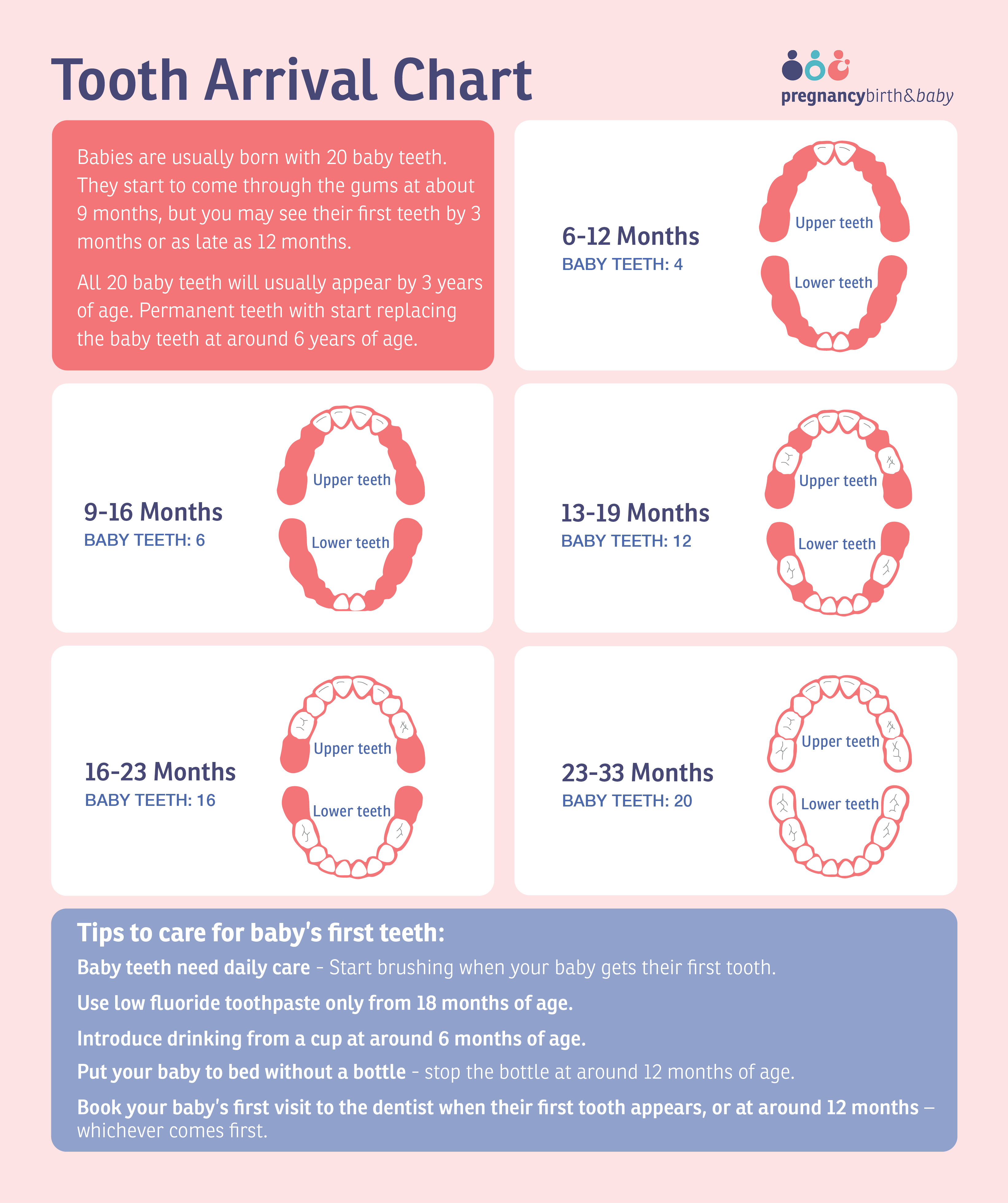 Track My Baby Growth Online Www danzhao cc