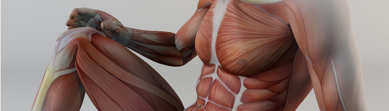 Duchenne muscular dystrophy, or DMD, is a particular type of muscular wasting caused by a mutation in the DMD gene. Duchenne muscular dystrophy, or DMD, is a particular type of muscular wasting caused by a mutation in the DMD gene.