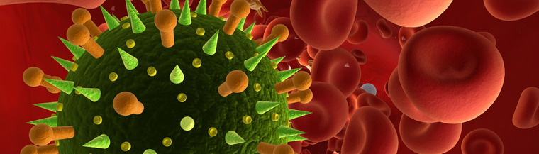 Influenza virus. Influenza virus.