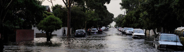 Heavy rainfall and floods can lead to Ross River virus outbreaks.