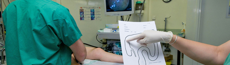 A colonoscopy is a medical examination undertaken to examine the colon. A colonoscopy is a medical examination undertaken to examine the colon.