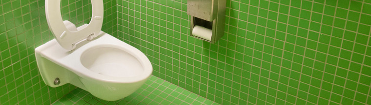 Gastro intestinal illnesses Gastro intestinal illnesses