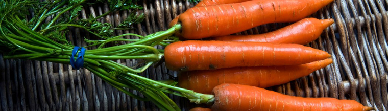 Carrots are a source of vitamin A. Carrots are a source of vitamin A.