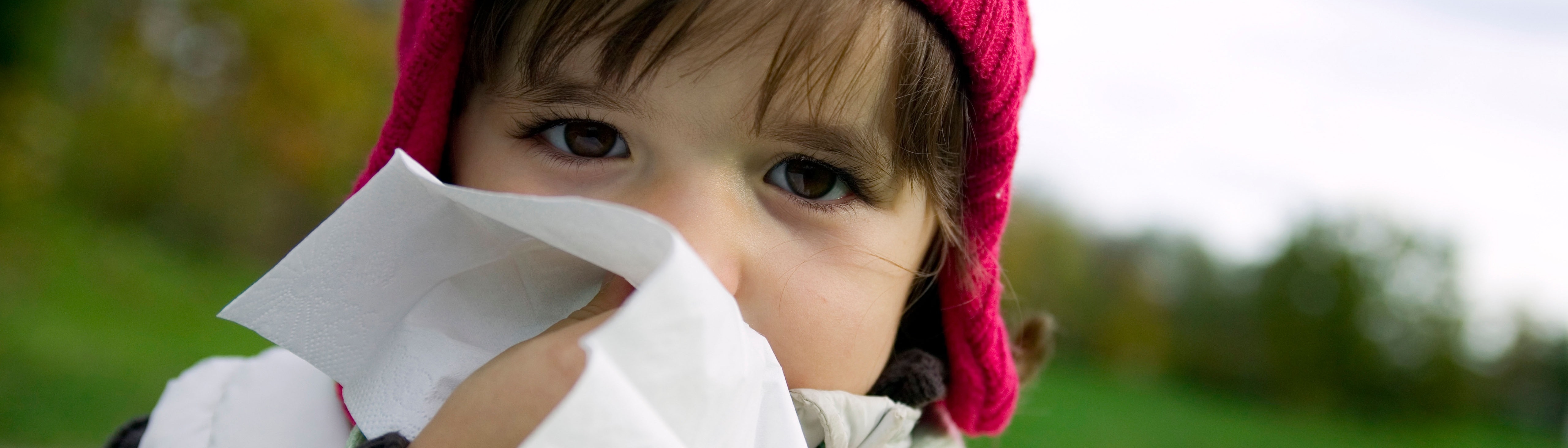 Immune system Immune system