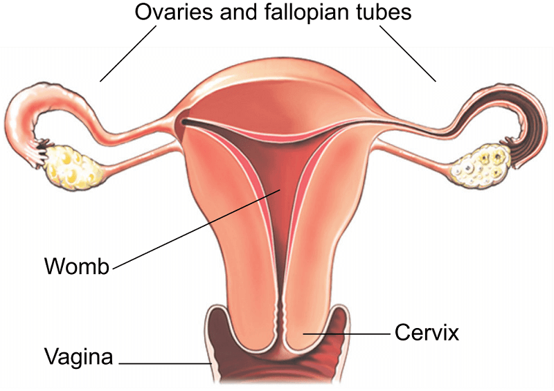 Laparoscopic hysterectomy