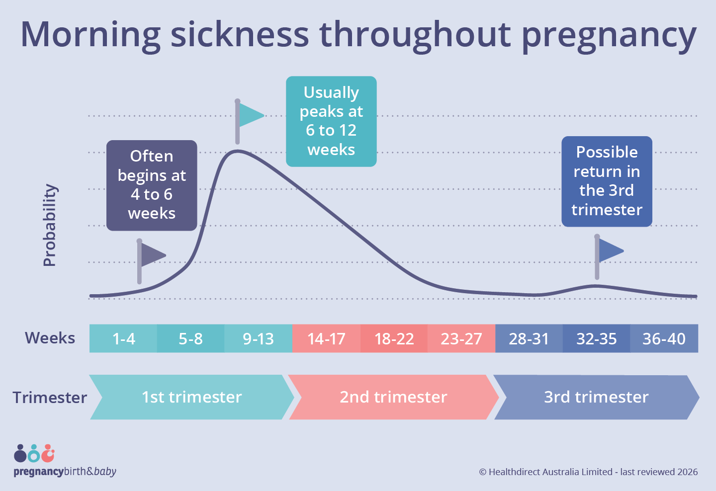 Line graph showing when morning sickness typically starts, peaks, and eases across the weeks of pregnancy.