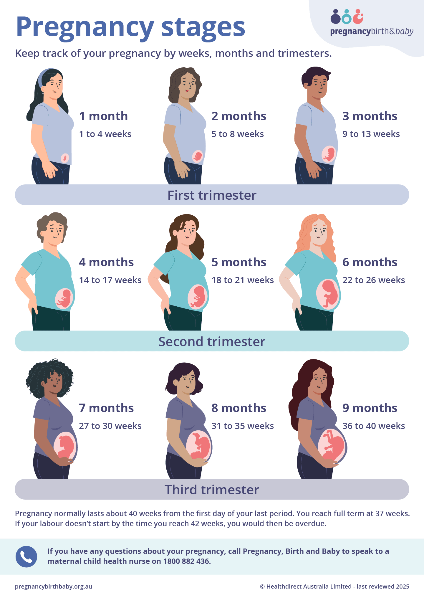 Pregnancy Stages 4 Month