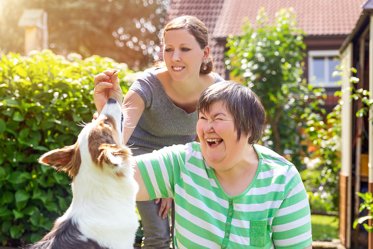 Siblings feeding dog together