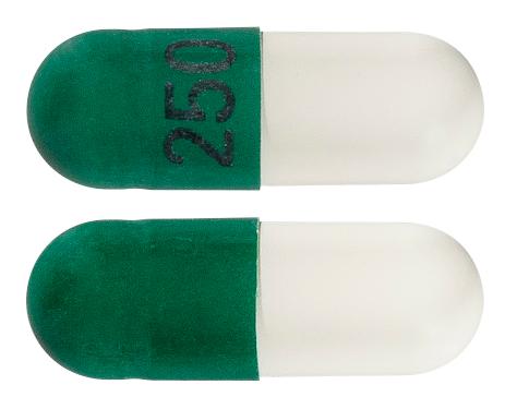 view of Cefalexin (Sandoz)